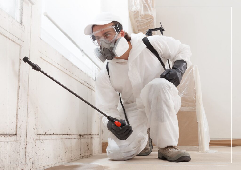 Why You Shouldn’t Delay Calling a Mold Removal Service: Protect Your Health and Home