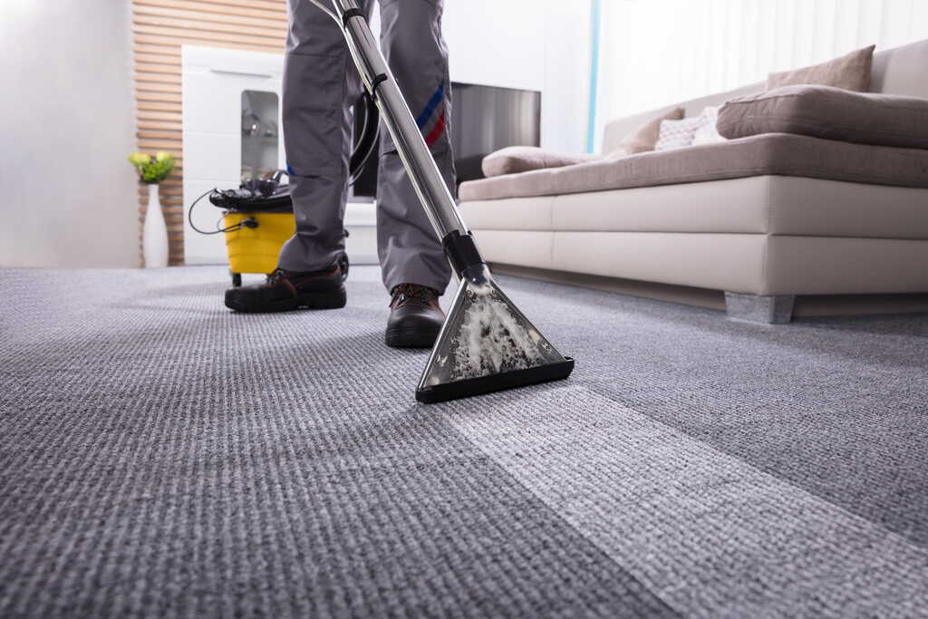 Carpet Cleaning Services vs DIY: What Indianapolis Homeowners Need to Know
